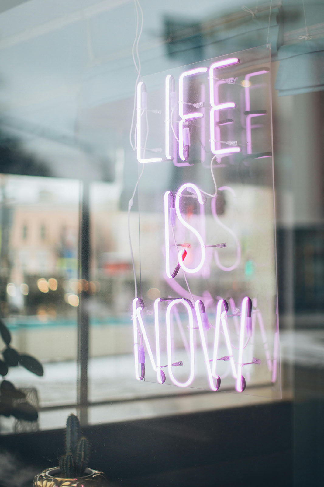Neon sign saying life is now