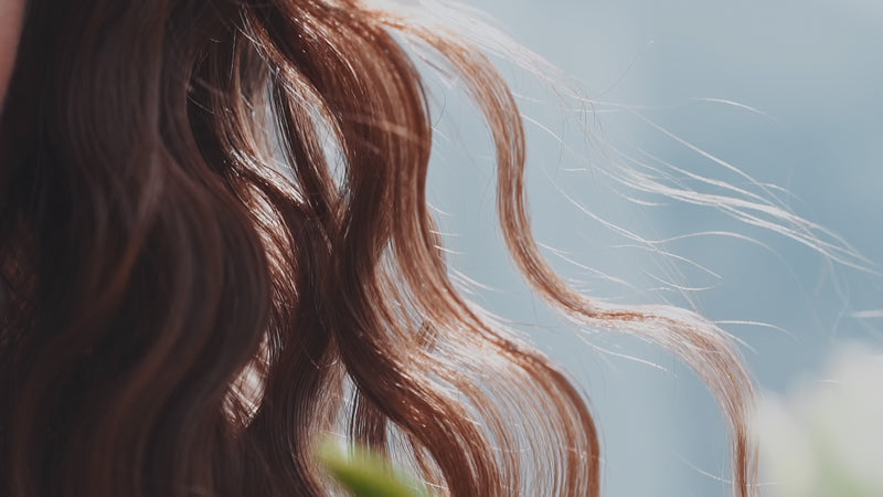 Close-up of wavy hair in sunlight